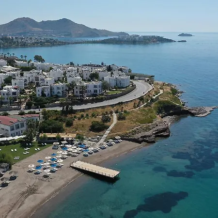 Eles 3* 阿克亚拉尔