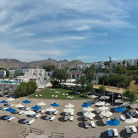 Otel Eles