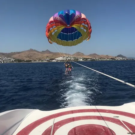 Eles 3* 阿克亚拉尔